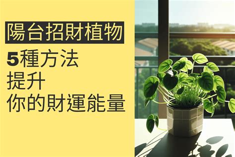 前陽台招財|前陽台招財植物指南：打造事業財運新篇章 